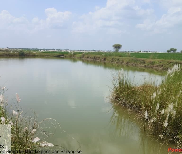 ग्वालियर में सरपंचों की अनोखी पहल का बड़ा परिणाम