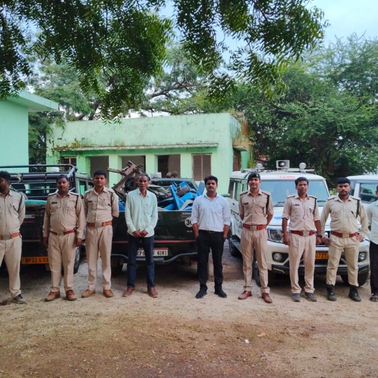 कलेक्टर श्रीमती रुचिका चौहान के निर्देश पर राजस्व, वन, खनिज और पुलिस की संयुक्त टीम ने विकासखंड घाटीगाँव के ग्राम चैत में स्थित वन भूमि पर कार्रवाई की