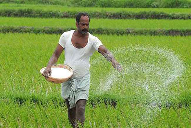 ग्वालियर, दतिया, भिण्ड व मुरैना के किसानों को मिलेगा 8,170 MT से अधिक खाद