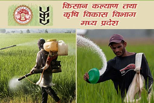 ग्वालियर: किसान भाइयों के लिए चेतावनी – तापमान घटने पर ही करें सरसों की बुवाई